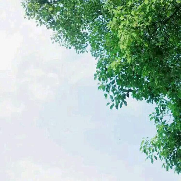平田薰（饰 关原妙） - 独家访谈节目在线观看 - 客户端直播